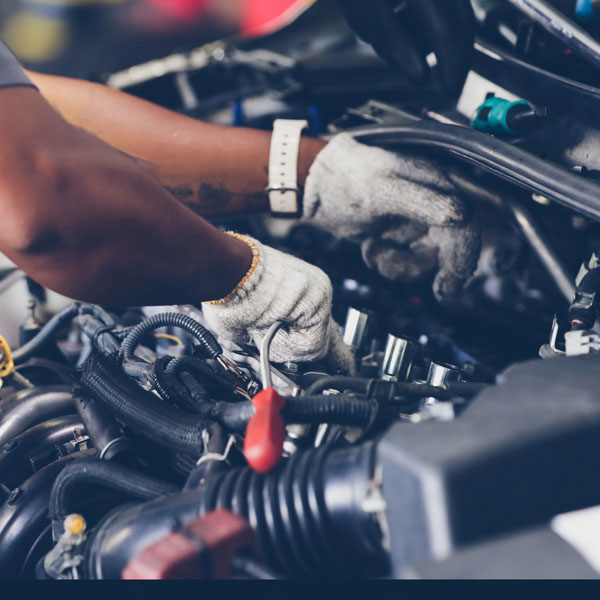 Servicio rápido del automóvil